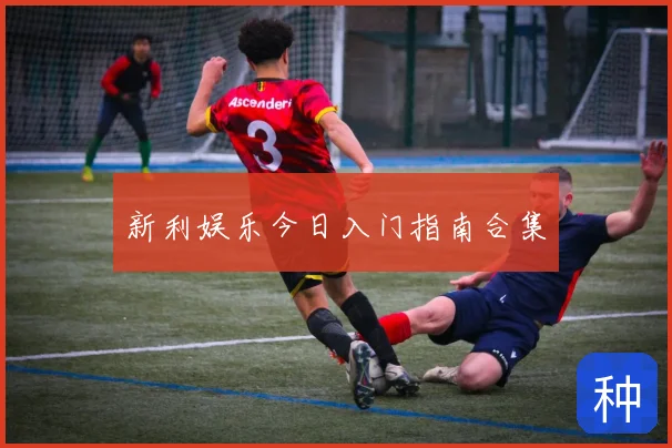 新利娱乐今日入门指南合集